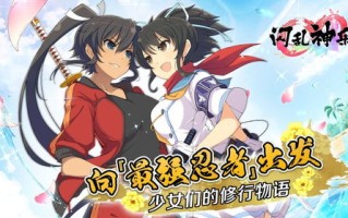 闪乱神乐沙滩戏水是单机游戏吗_闪乱神乐沙滩戏水steam多少钱