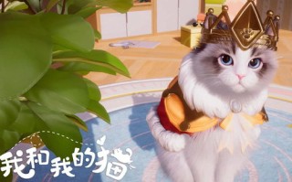 情侣小游戏养猫攻略_情侣养猫取什么名字