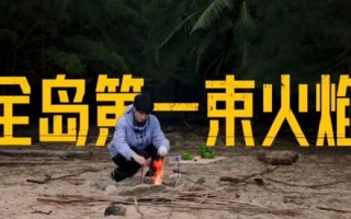生存手机版游戏攻略_生存手机版游戏攻略
