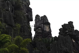 涞源白石山好玩吗_涞源白石山攻略游戏-第1张图片-游点攻略