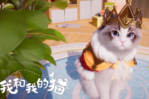 情侣小游戏养猫攻略_情侣养猫取什么名字-第1张图片-游点攻略