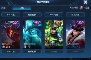 英雄联盟永久皮肤领取_lol永久皮肤可以分解吗-第3张图片-游点攻略